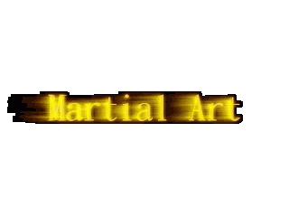 Martial Art